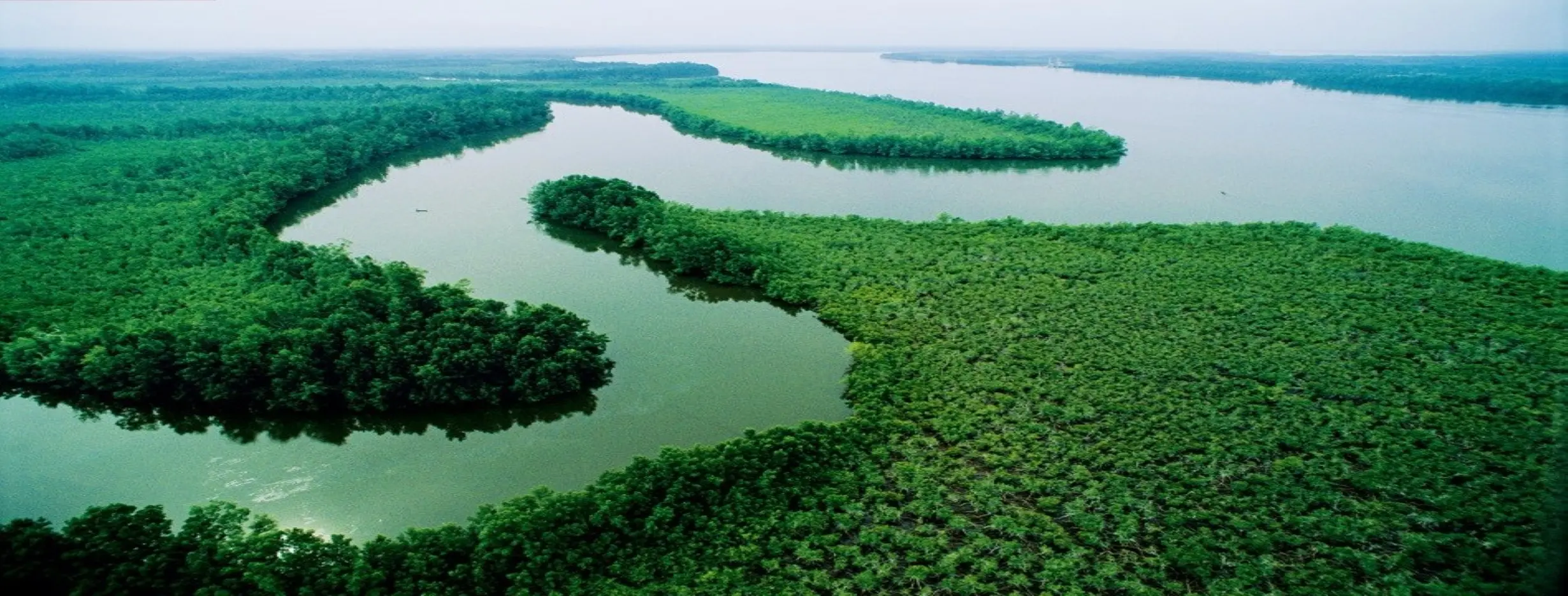 Image for River Niger Cruise